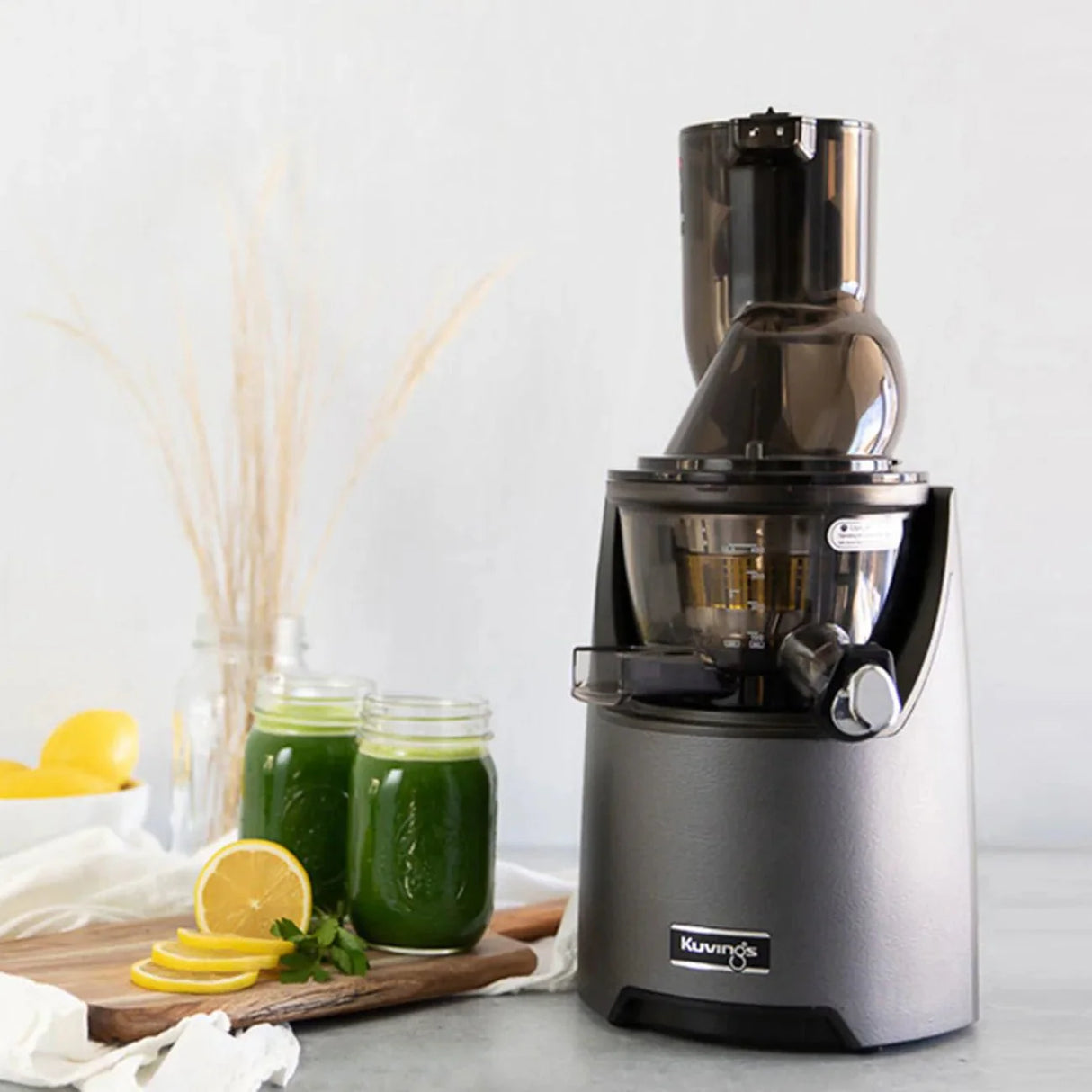 Kuvings ® EVO820 Whole Slow Juicer - Gun Metal - Juicerville