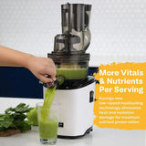 Kuvings ® REVO830 Whole Slow Juicer - Juicerville
